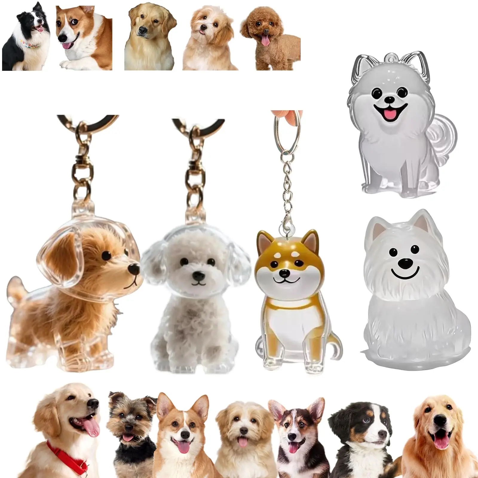 Pet Supplies Outlet - Transparenter Haustier-Gedenkanhänger Schlüsselanhänger Lieblicher Hunde- und