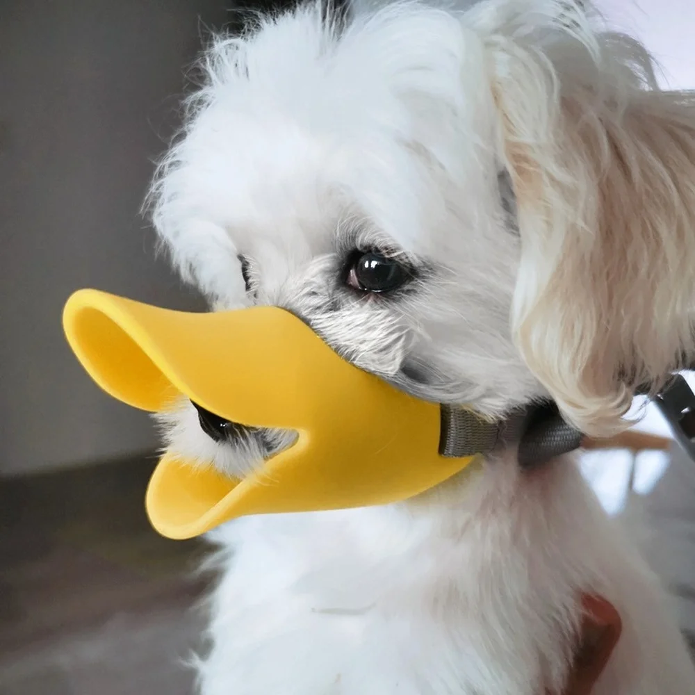 1 Stück Kleiner Hunde-Maulkorb – Pet Supplies Hours Bewertung und Preis