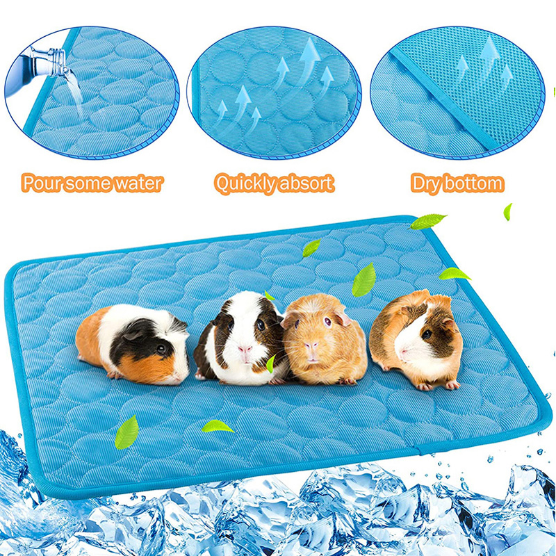 Meerschweinchen-Käfigin-Einlag – Pet Supplies Outlet Bewertung und Preis