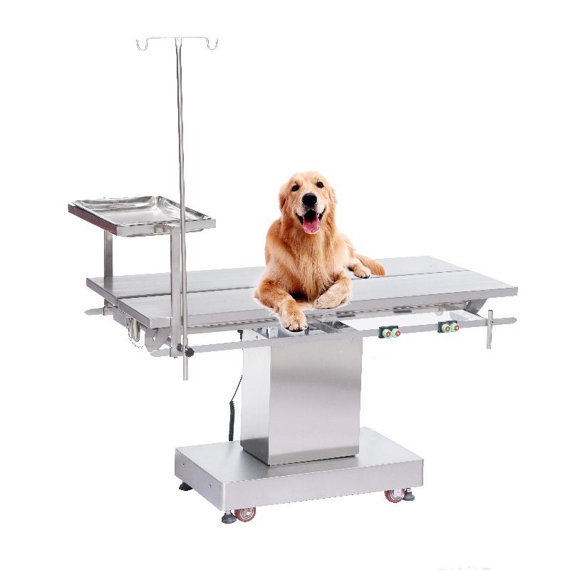 2026 Tierarzt-Untersuchungstis – Pet Supplies Vet Clinic Bewertung und Preis