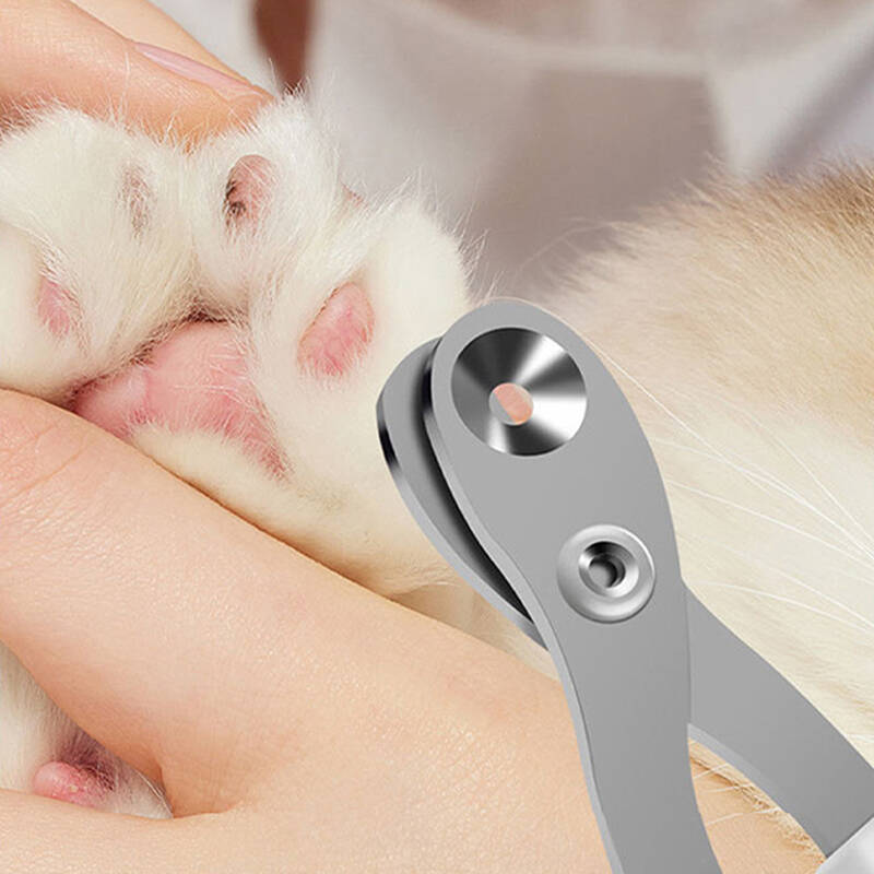Rundloch-Katzenschere Professi – Pet Supplies Hours Bewertung und Preis
