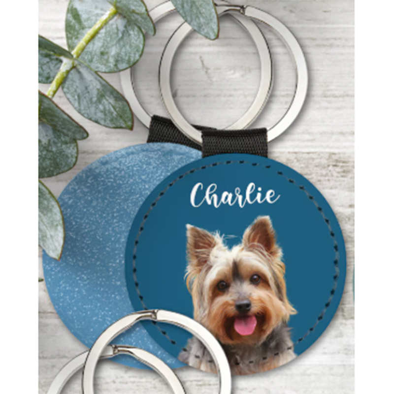 Benutzerdefinierter Haustier-F – Pet Supplies Outlet Bewertung und Preis