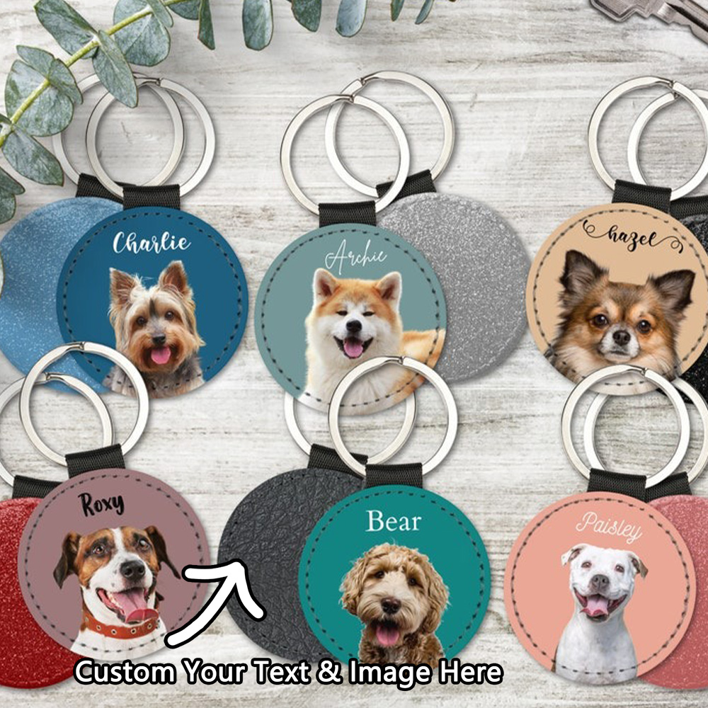 Benutzerdefinierter Haustier-F – Pet Supplies Outlet Bewertung und Preis
