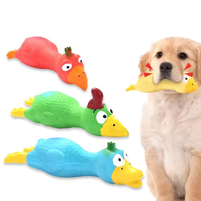 Quietschspielzeug für süße Hun – Pet Supplies Outlet Bewertung und Preis