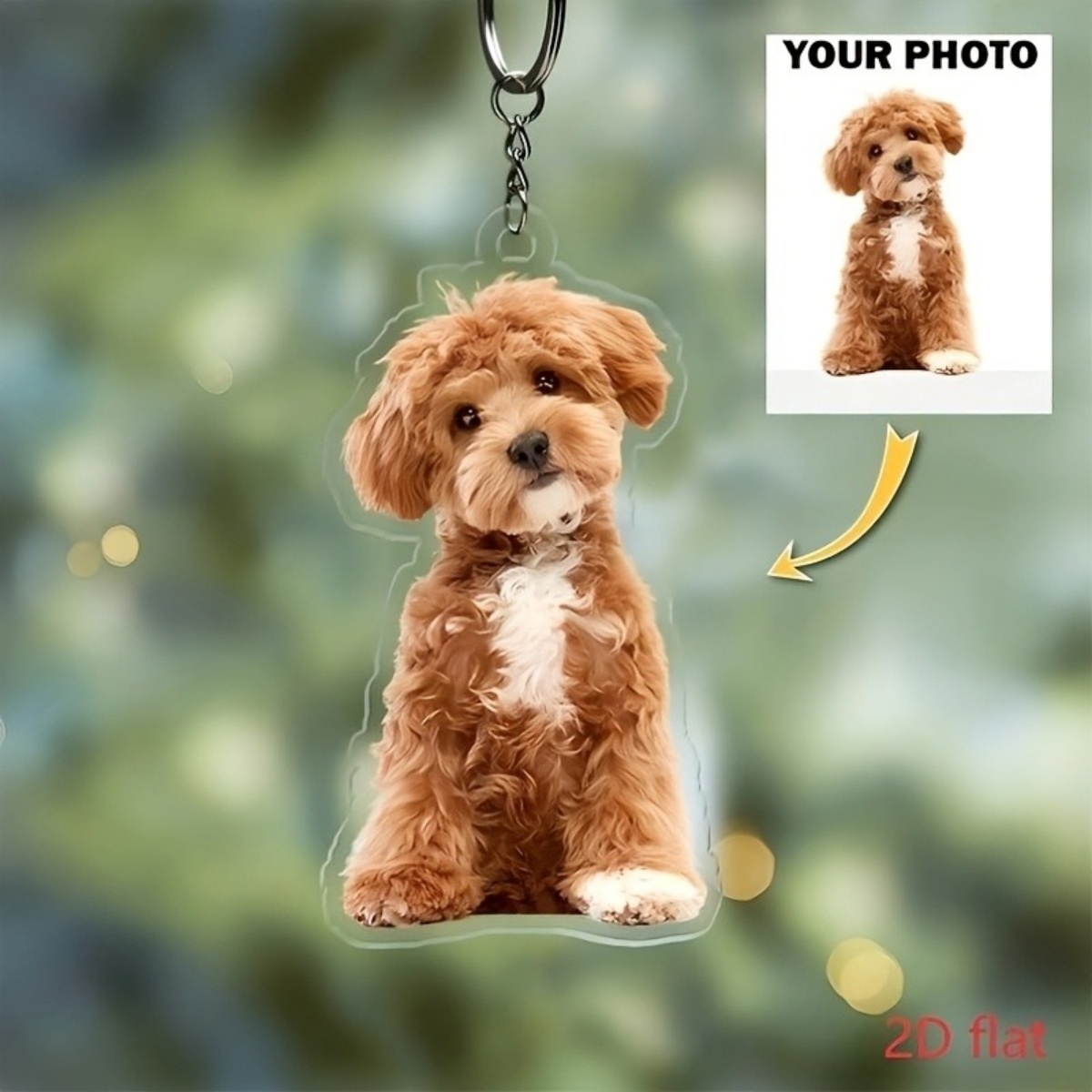 Personalisierter Foto-Schlüsse – Pet Supplies Outlet Bewertung und Preis
