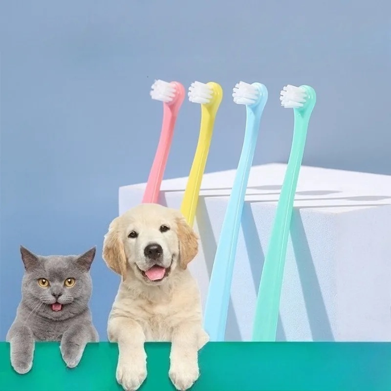 Hundezahnbürste mit Kleinem Bü – Pet Supplies Hours Bewertung und Preis