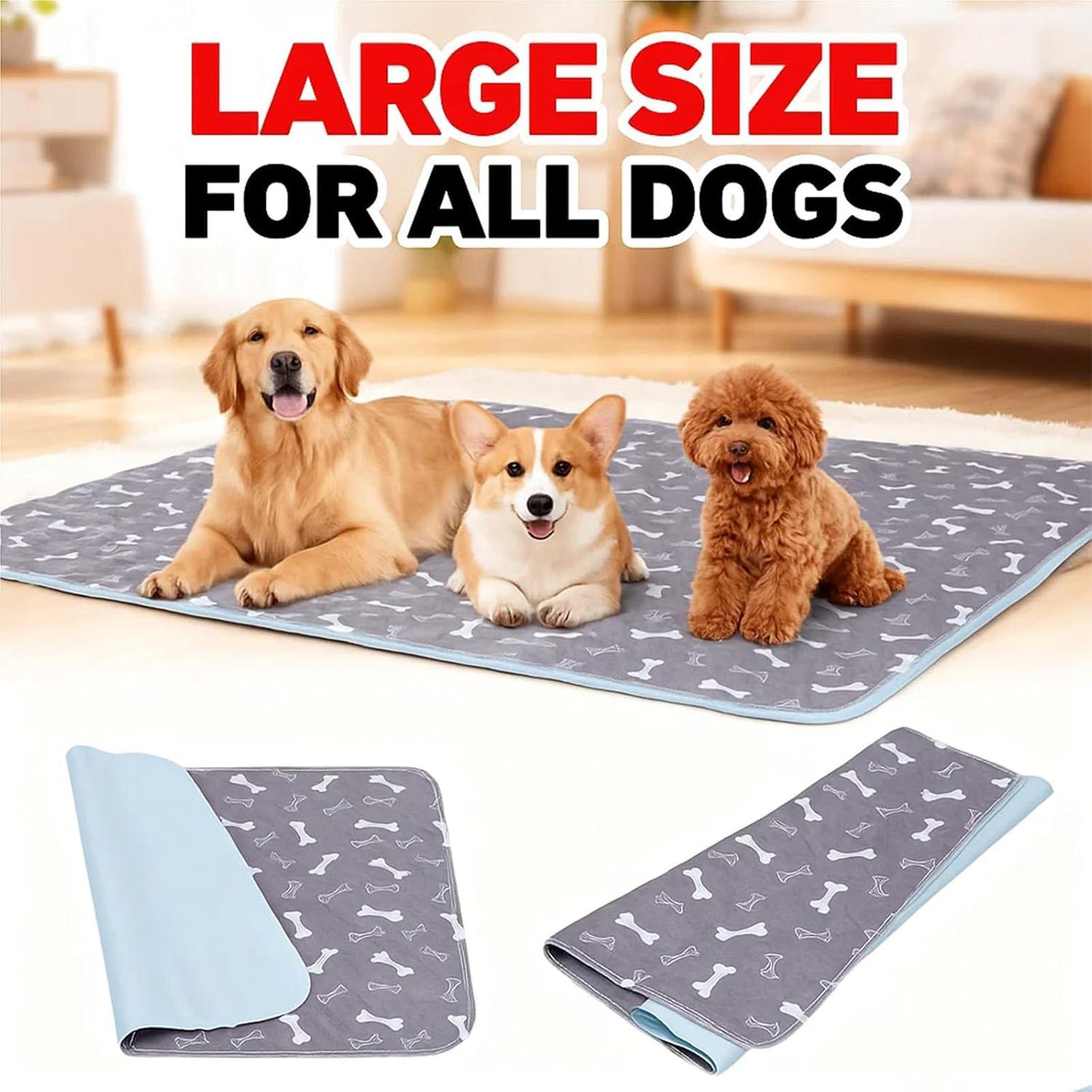 Hunde-Pipi-Pads, schnell saugf – Pet Supplies Outlet Bewertung und Preis