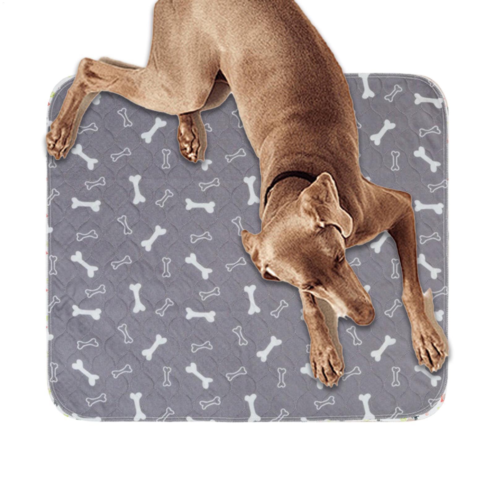 Hunde-Pipi-Pads, schnell saugf – Pet Supplies Outlet Bewertung und Preis
