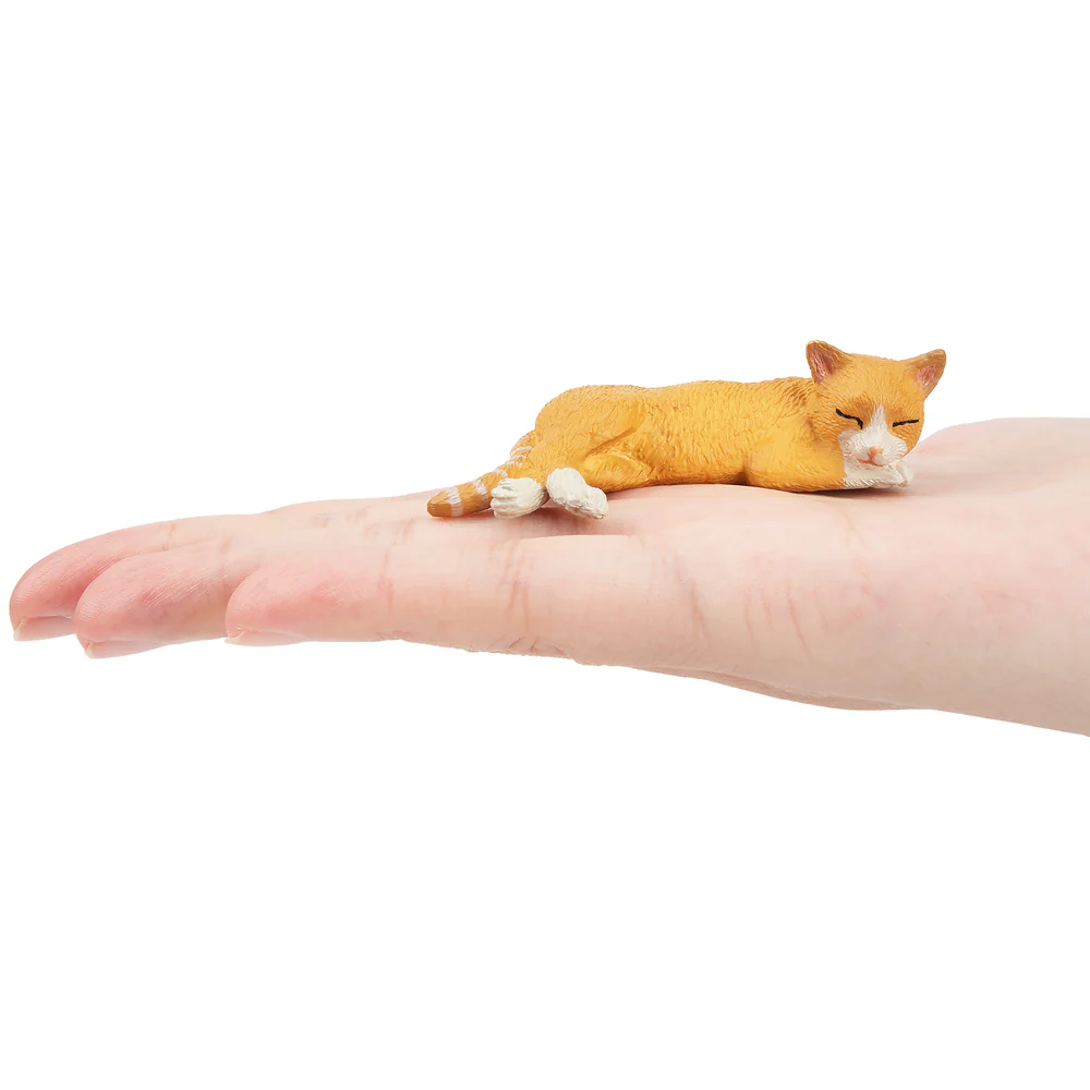 Toymany Simulation Liegen Oran – Pet Supplies Delivery Bewertung und Preis