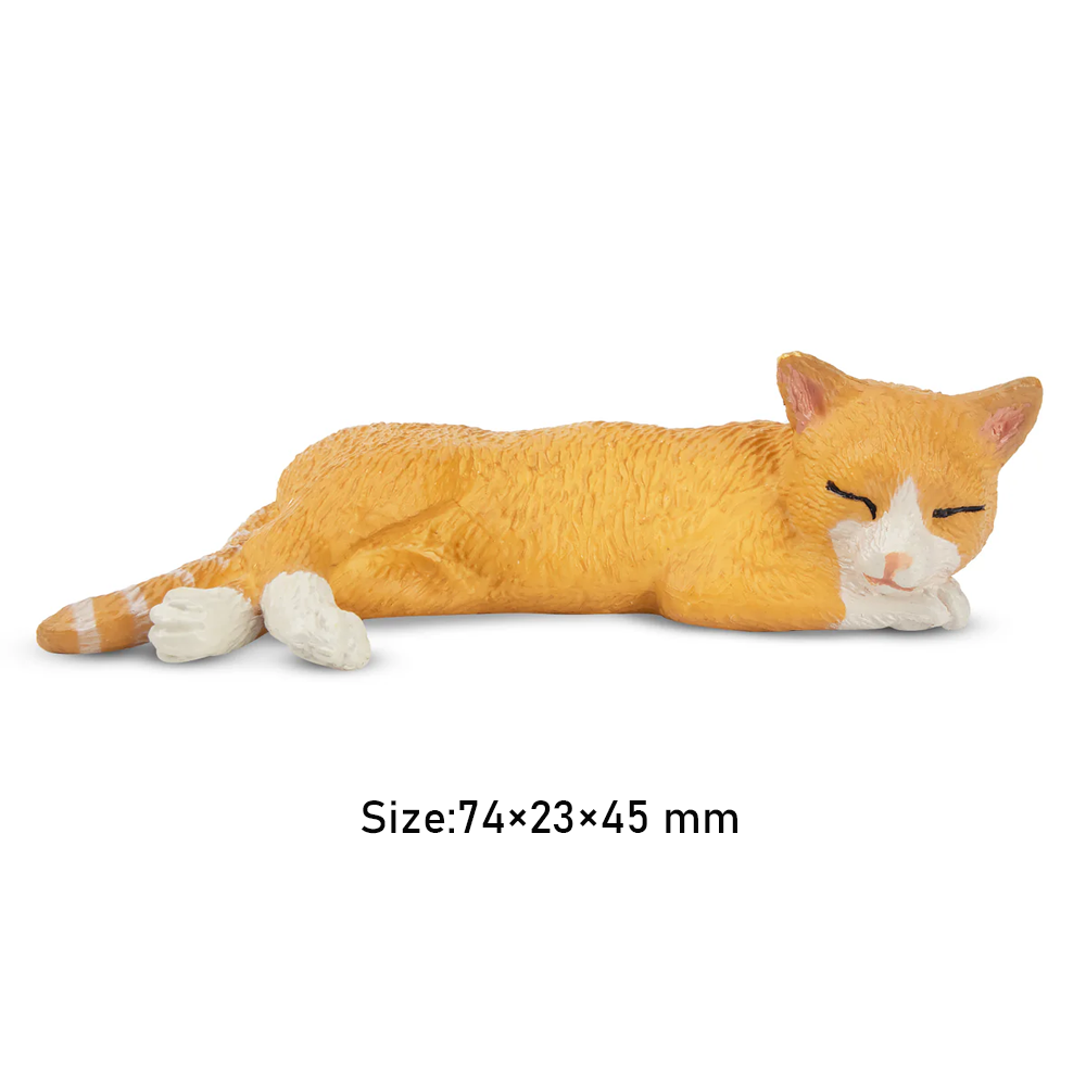 Toymany Simulation Liegen Oran – Pet Supplies Delivery Bewertung und Preis