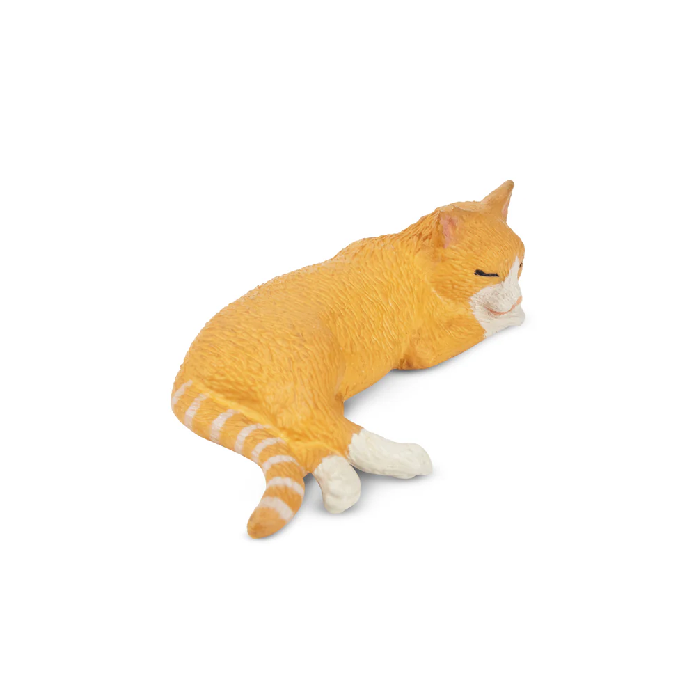 Toymany Simulation Liegen Oran – Pet Supplies Delivery Bewertung und Preis