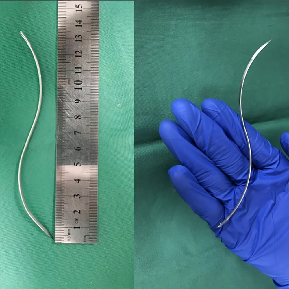 5 Stück/12 Stück Tiermedizinis – Pet Supplies Vet Clinic Bewertung und Preis